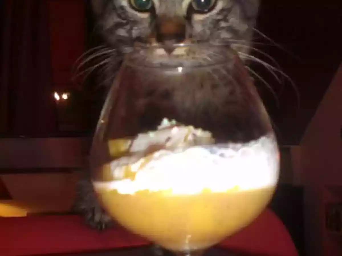 Compote de mangue gélifiée, cubes d'Ananas Victoria et Emulsion de crème fouettée