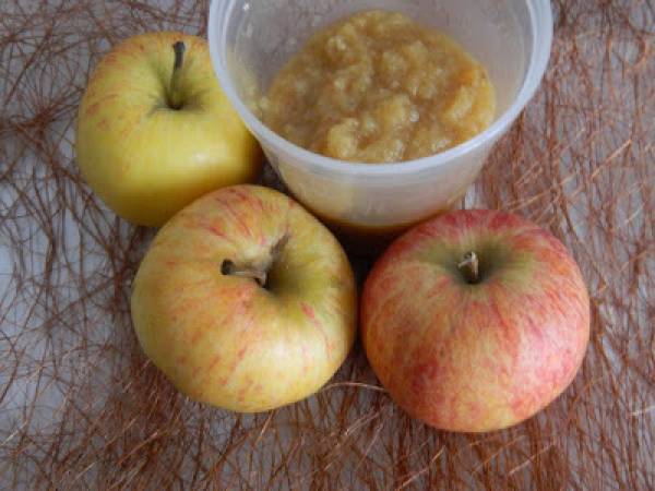 Compote pommes kaki biscuité.