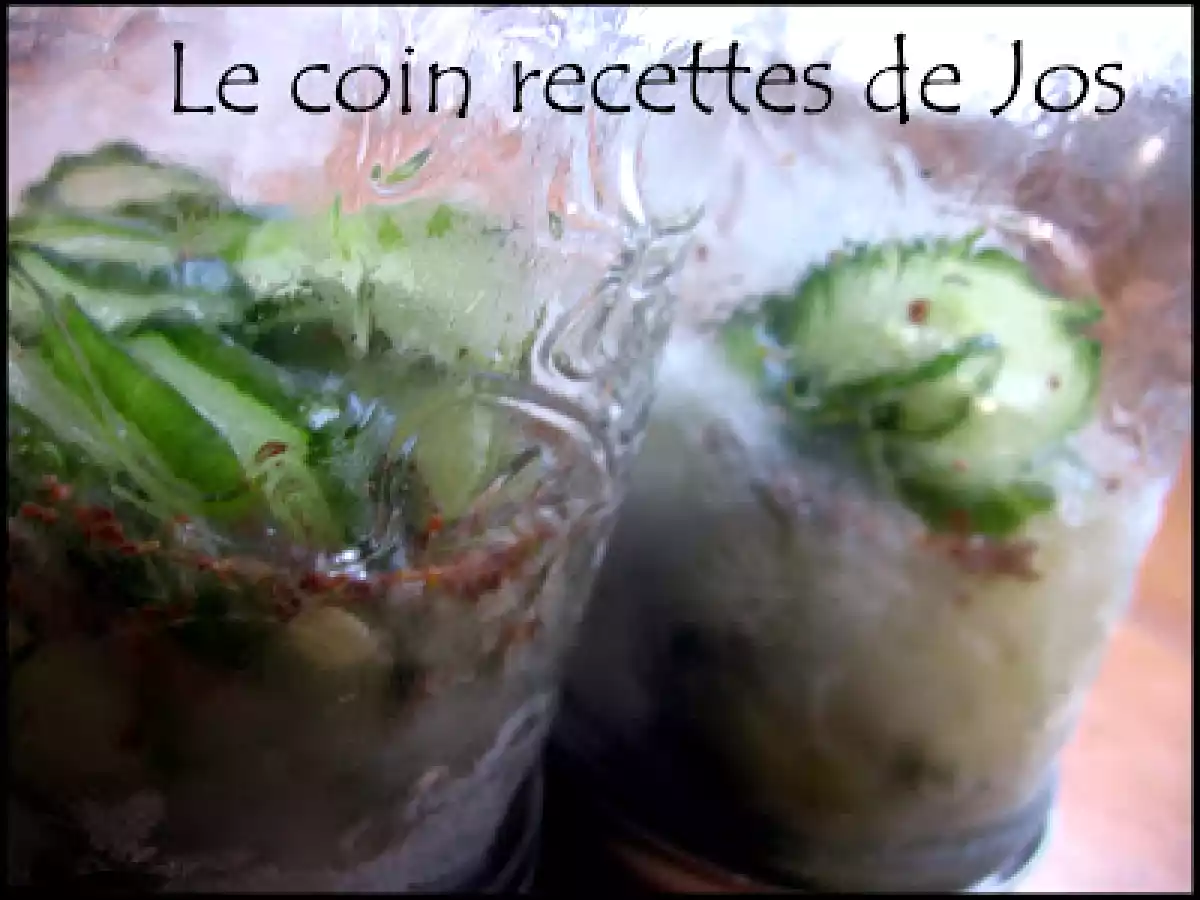 CONCOMBRES AU CONGÉLATEUR