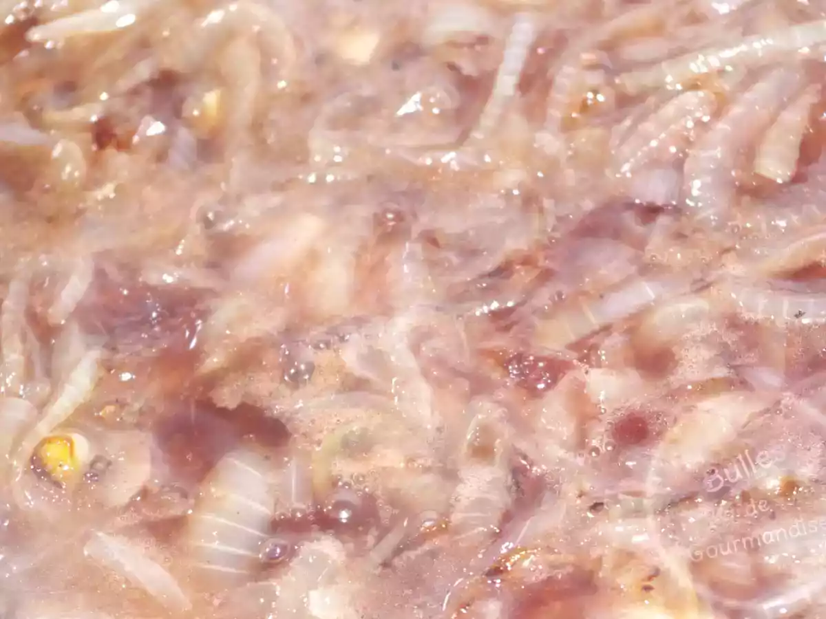 Confiture d'oignons miel et hypocras - photo 4