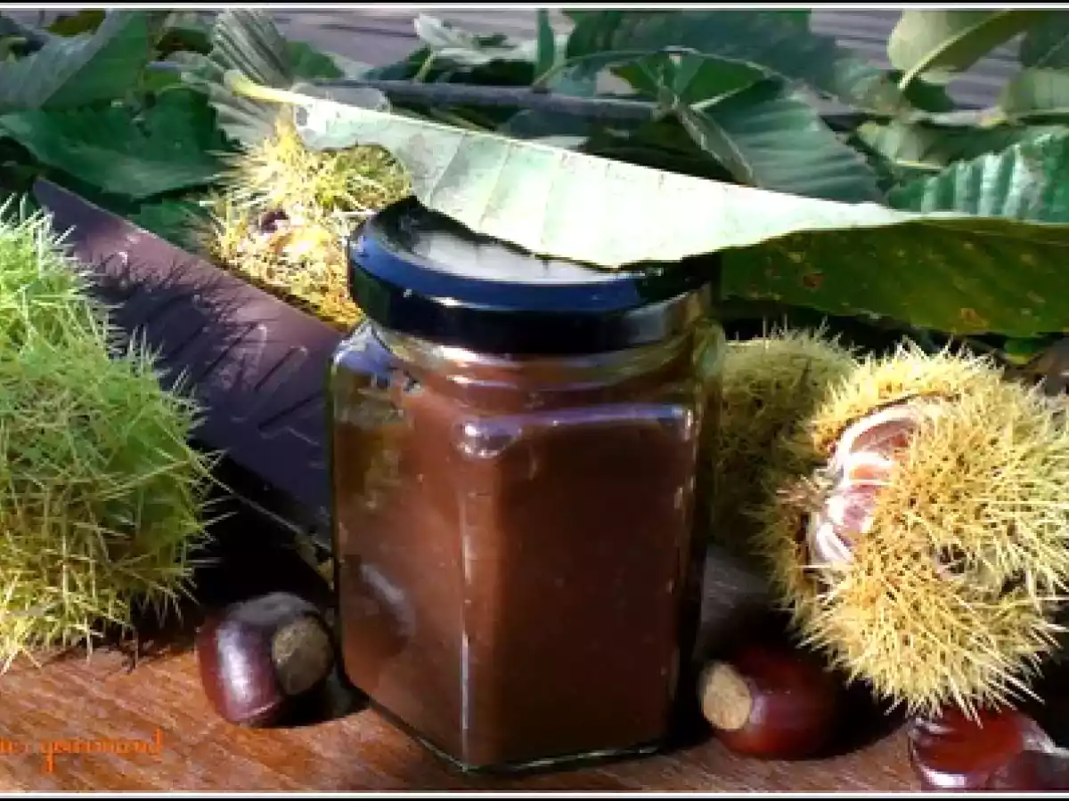 Confiture de châtaignes au chocolat