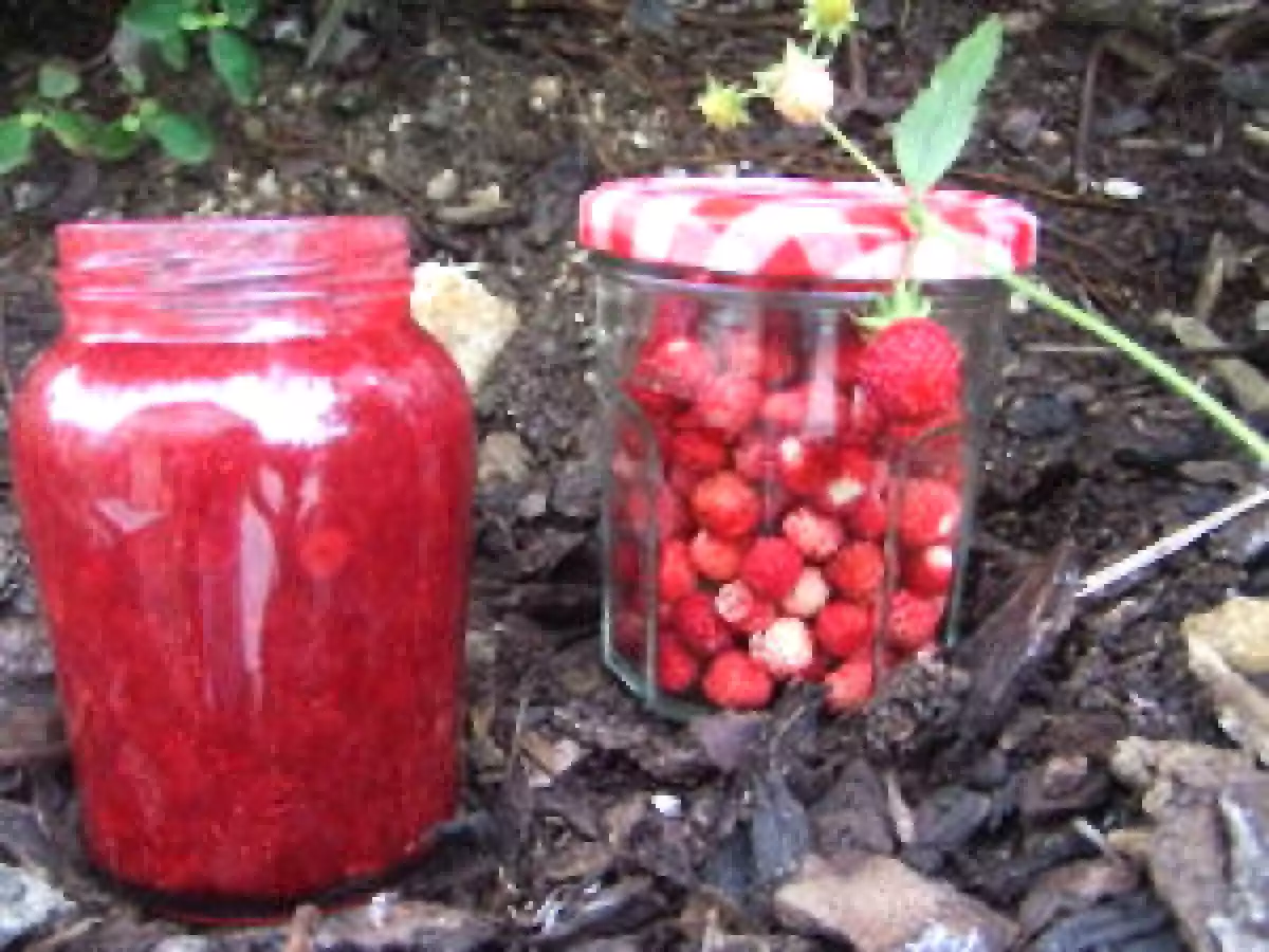 Confiture de fraises des bois à la MAP
