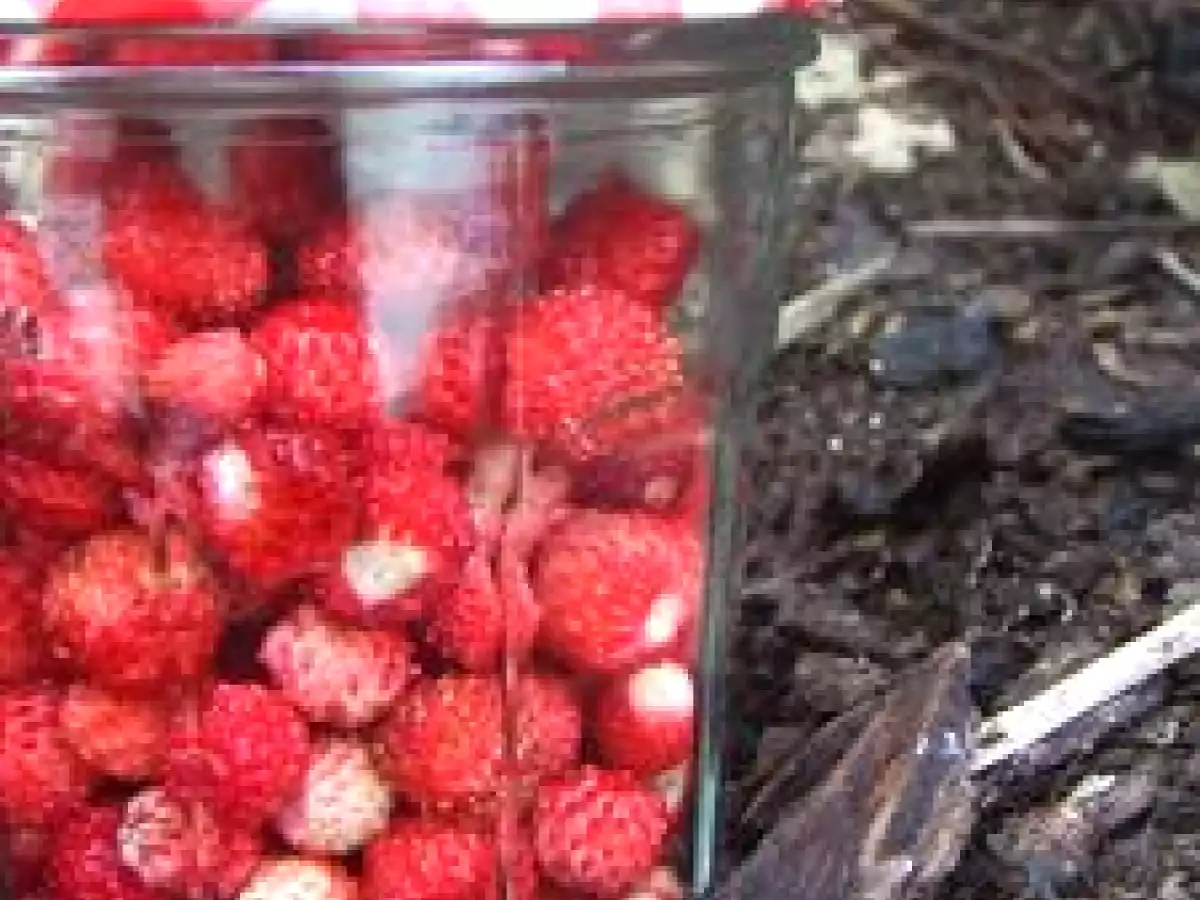 Confiture de fraises des bois à la MAP - photo 2