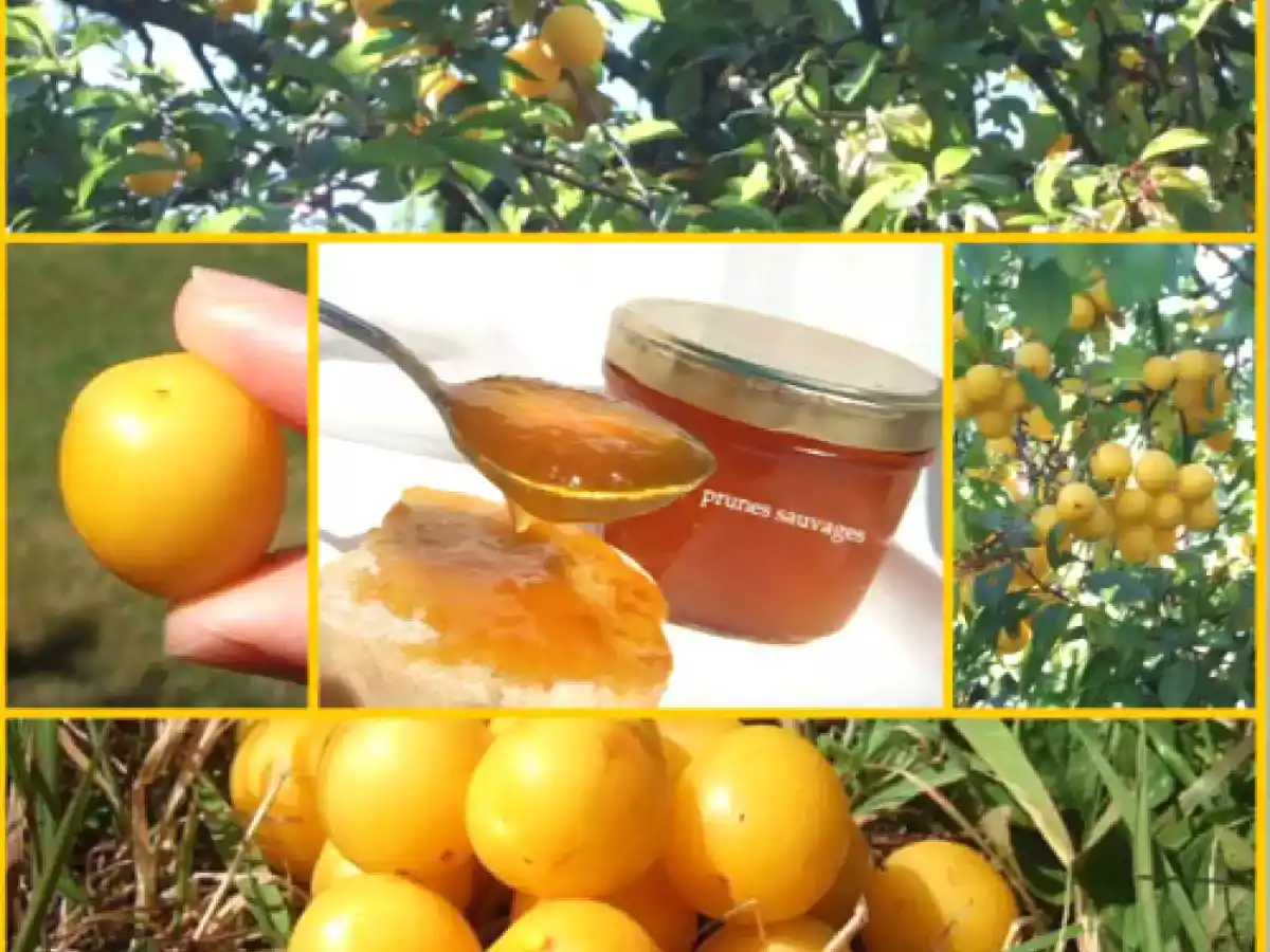 Confiture de prunes sauvages : 2ème édition