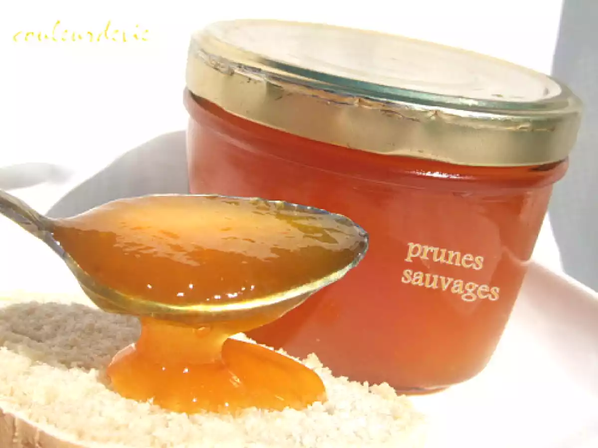 Confiture de prunes sauvages : 2ème édition - photo 2