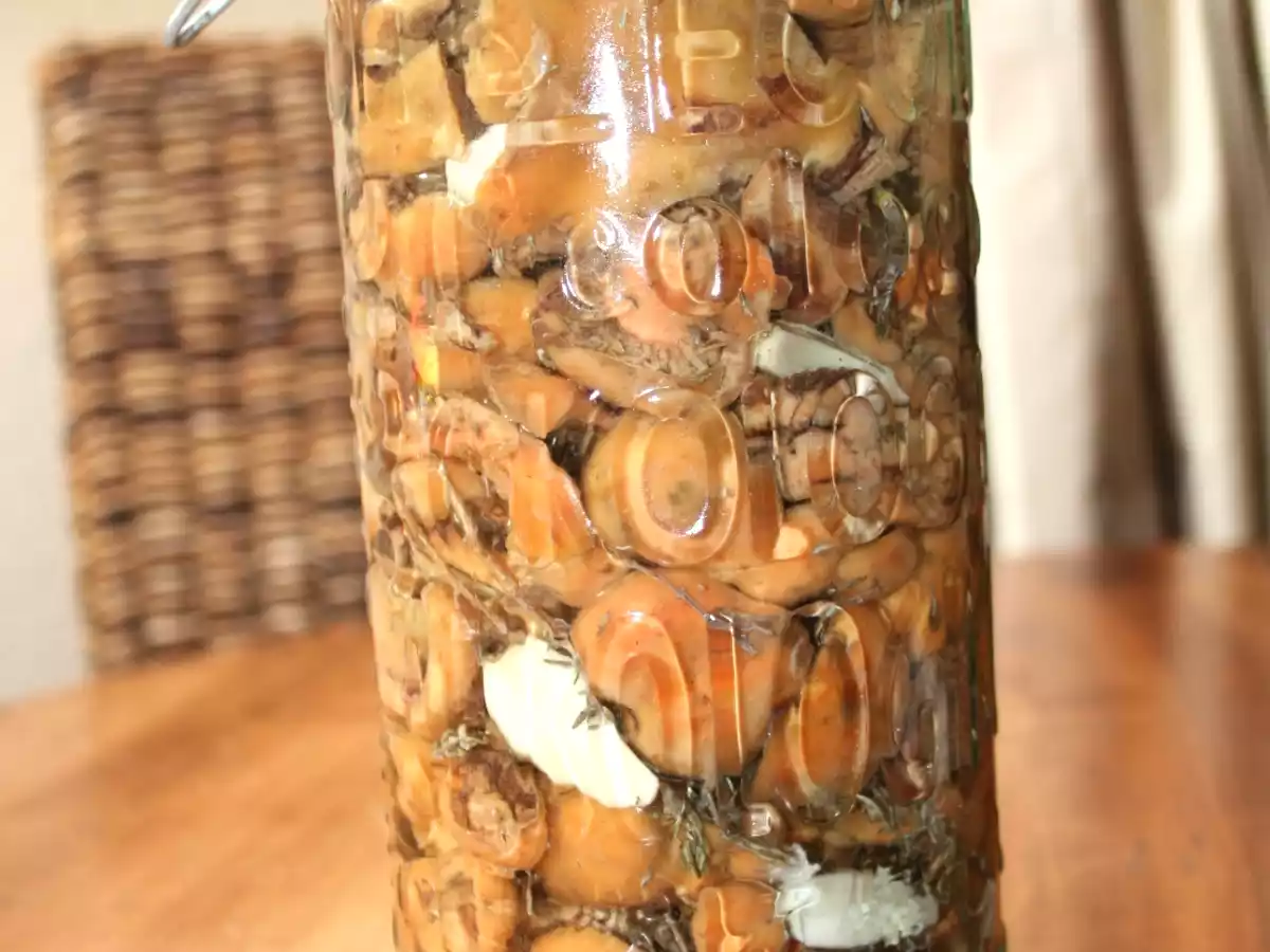 Conserve de sanguins à l'huille