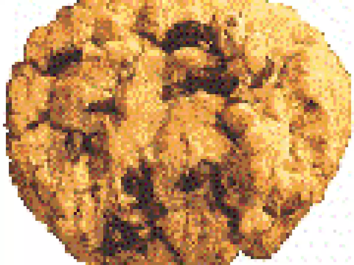 Cookies au pralin et aux cranberries - photo 2