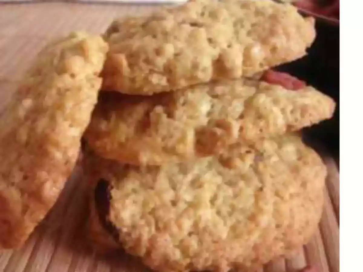 COOKIES AUX FLOCONS D'AVOINE ET AUX BAIES DE GOJI