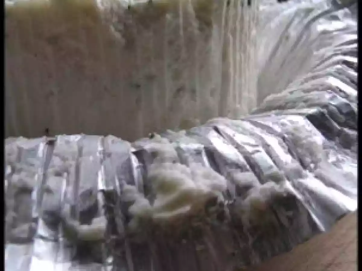 Coquelets farcis aux poires - sauce aux boursins