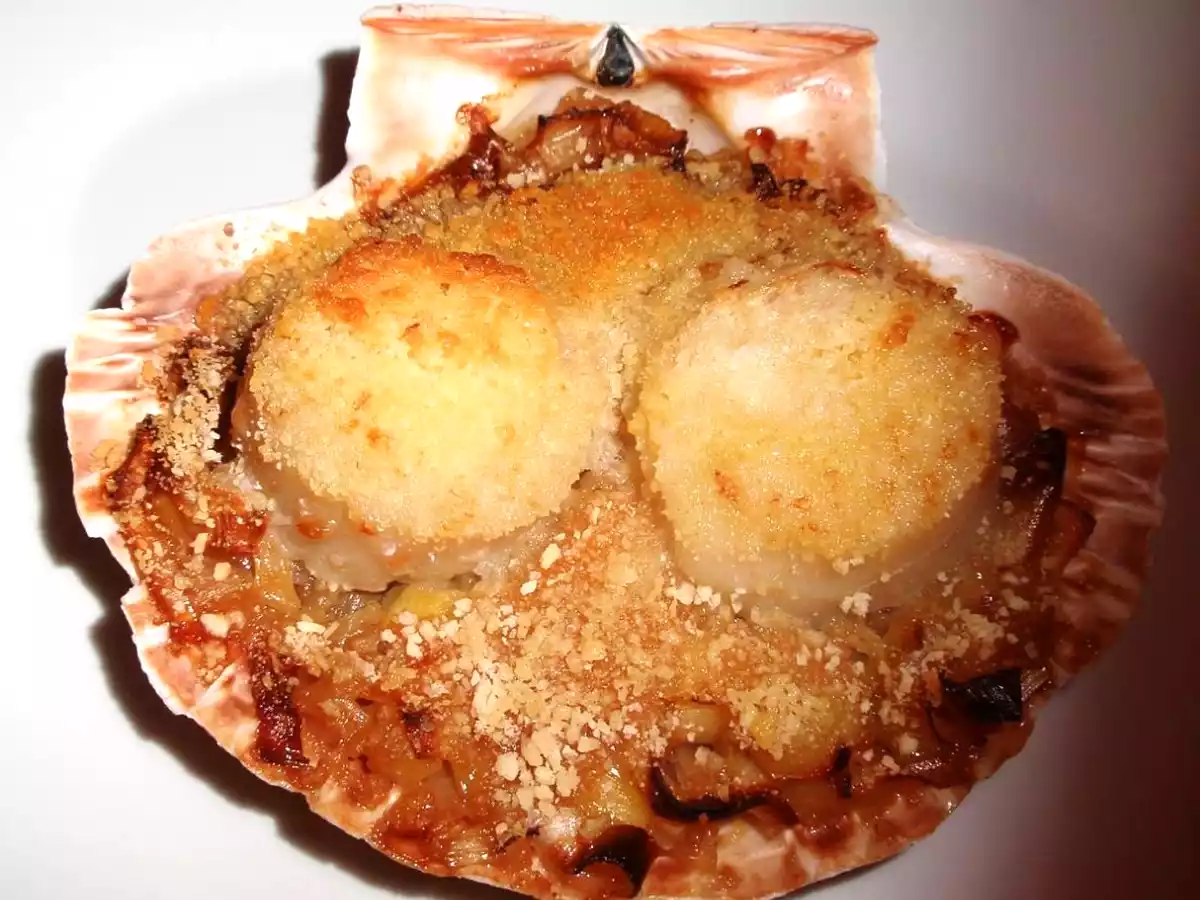 Coquille Saint-jacques sur fondue de poireaux - photo 2