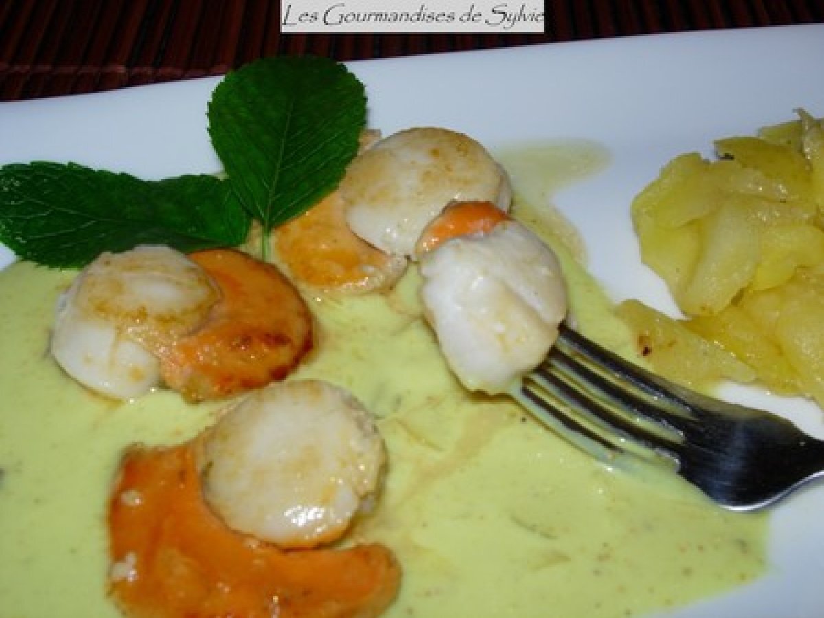 Recette de coquilles saint-jacques au curry et lait de coco