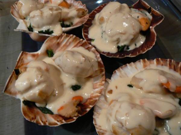 Coquilles Saint Jacques gratinées