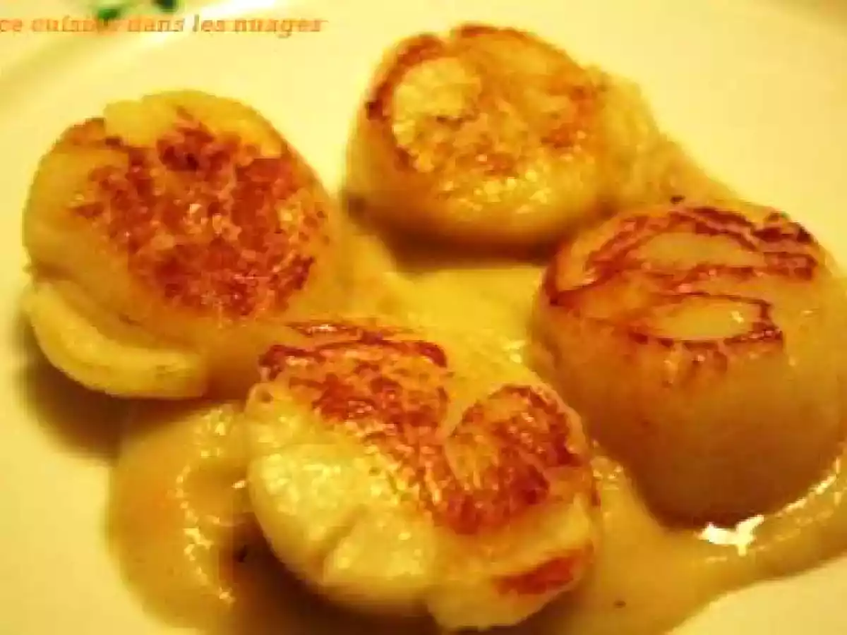 Coquilles saint jacques sur une mousseline de topinambours