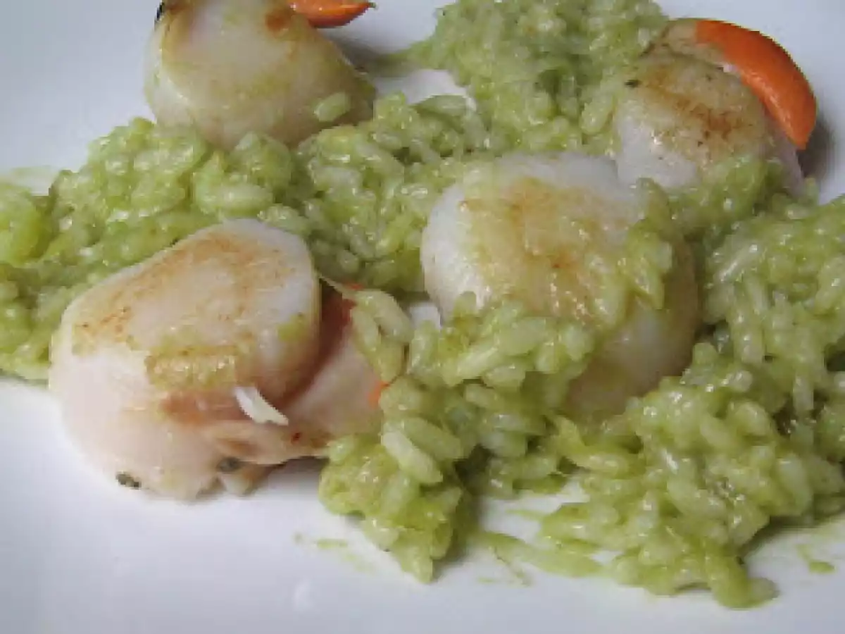 Coquilles St. Jacques avec un risotto de poireau - Jakobsmuscheln mit Lauchrisotto
