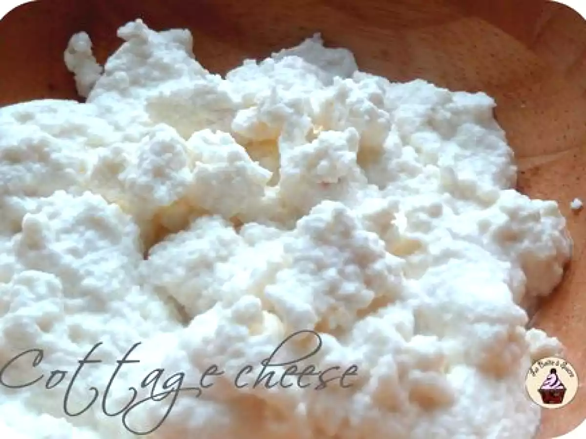 Cottage cheese maison goût biquette - photo 2