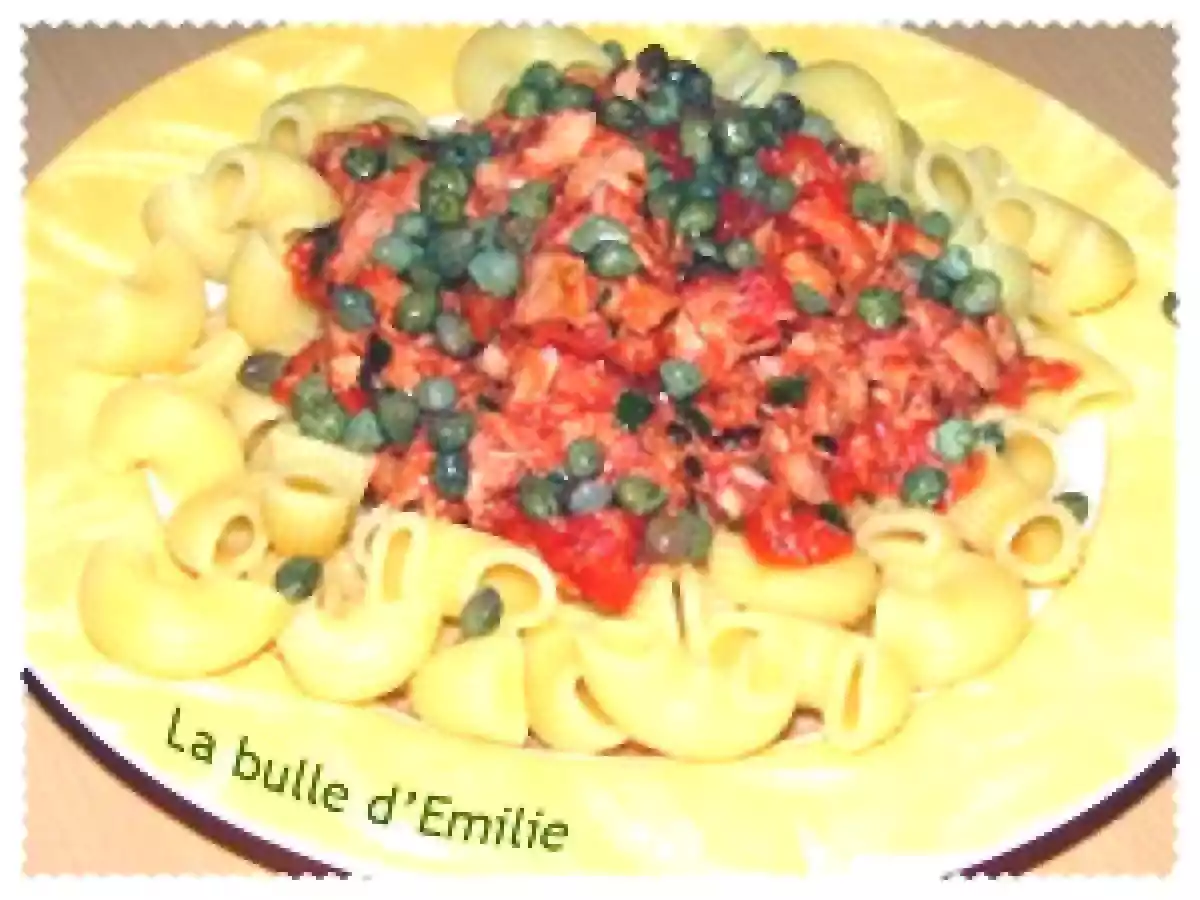 Coudes rayés sauce au thon et câpres