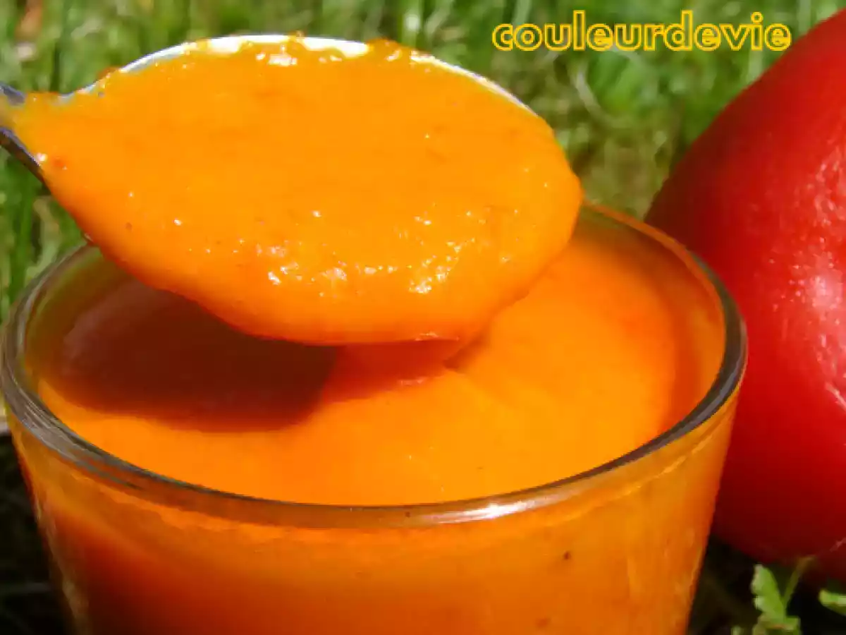 Coulis de poivrons rouges au thermomix - photo 2