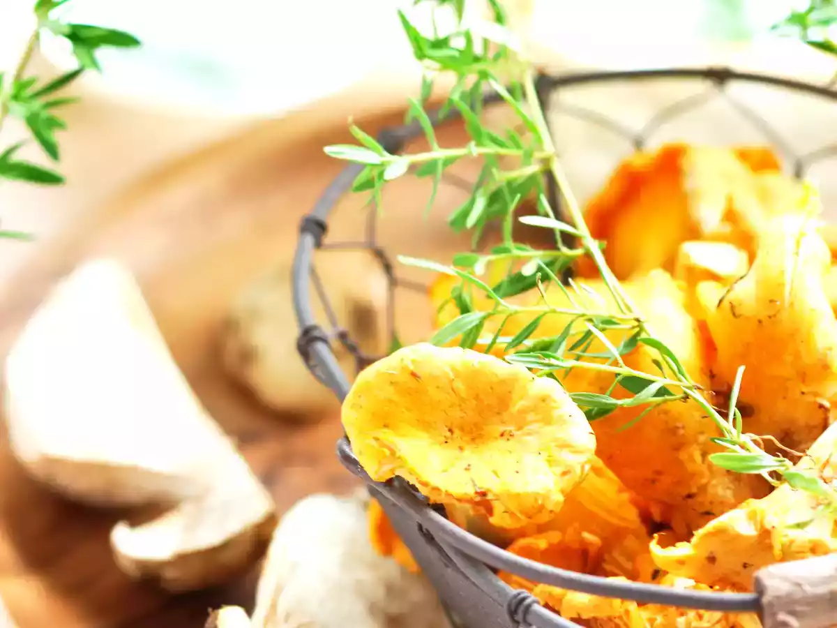 Courgettes rondes farcies aux cèpes et aux chanterelles