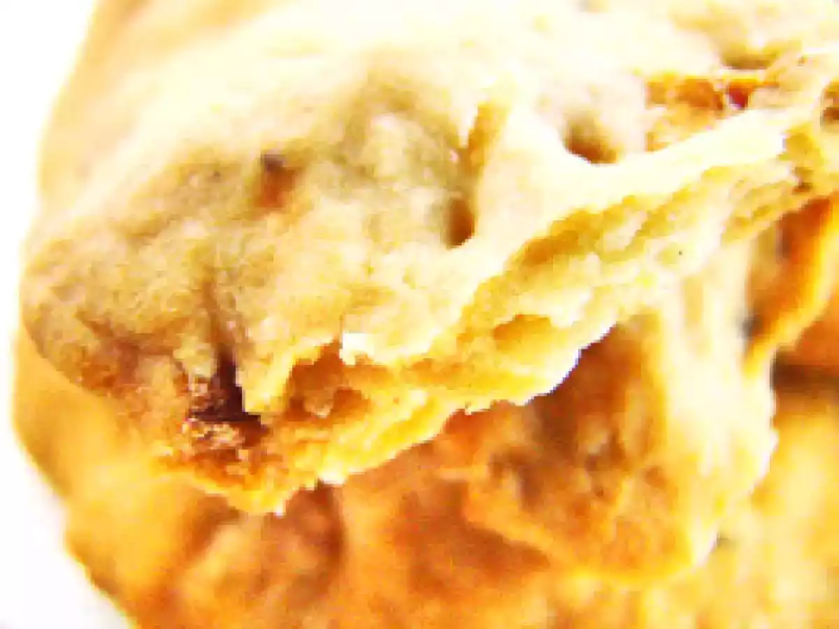 Crackers aux oignons rouges et coriandre..... mettons le rose au frais - photo 3