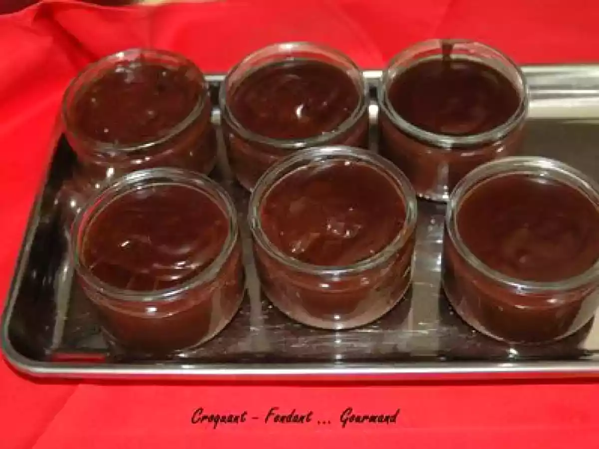 CRÈME au CHOCOLAT FAÇON DANETTE