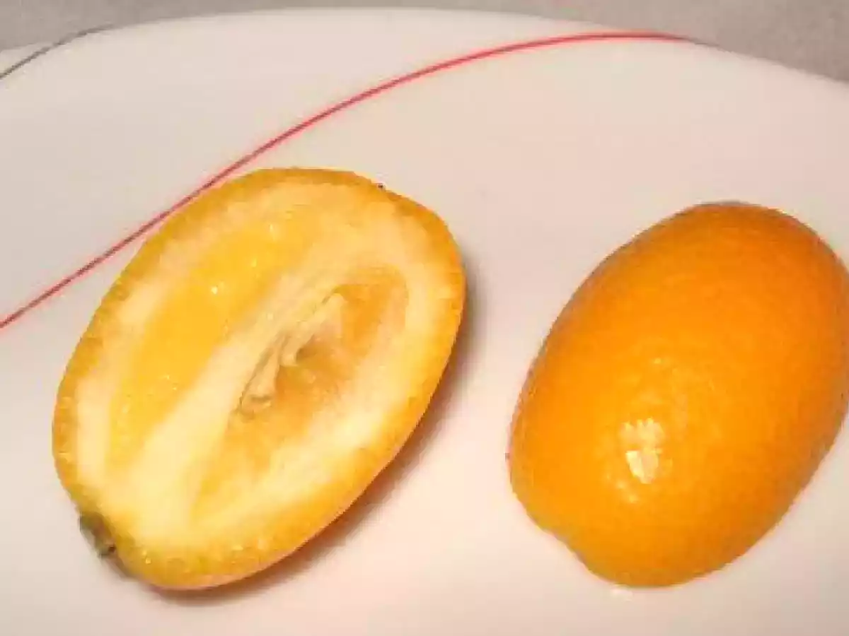 Crème brûlée aux kumquats - photo 3