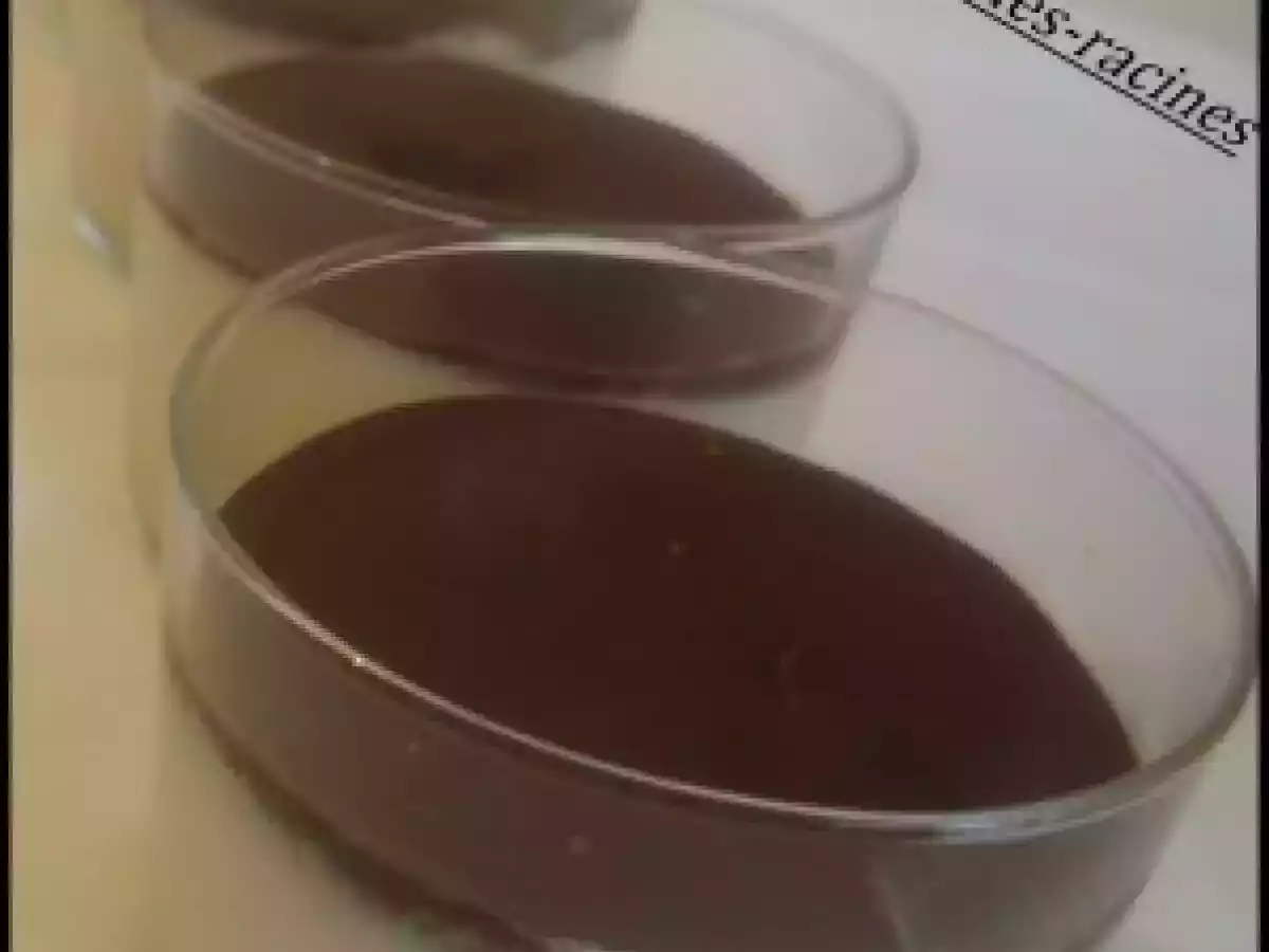 Crème d'ananas et son croquant de chocolat.