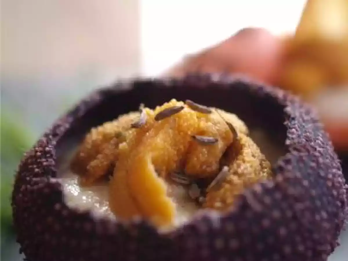 Crème d'oursin au fenouil et mon petit délire macaronesque