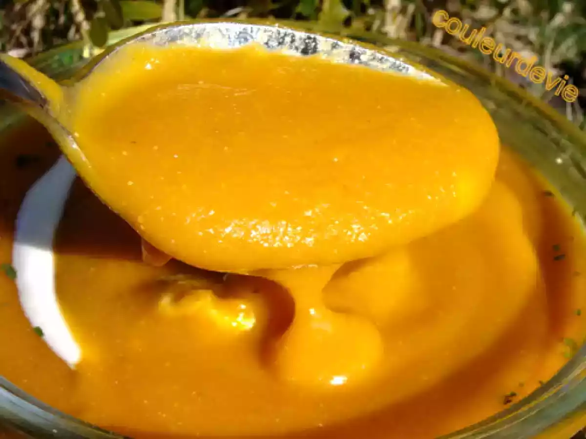 Crème de lentilles corail (au thermomix)