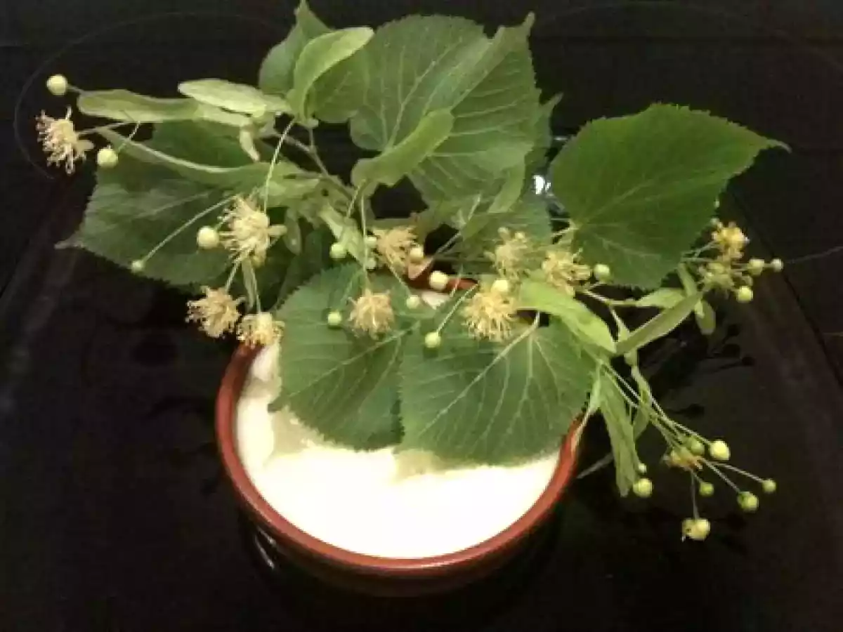 Crème dessert au tilleul