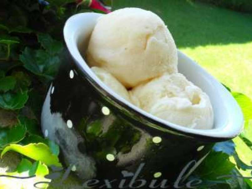 Crème glacée à la guimauve grillée, photo 1