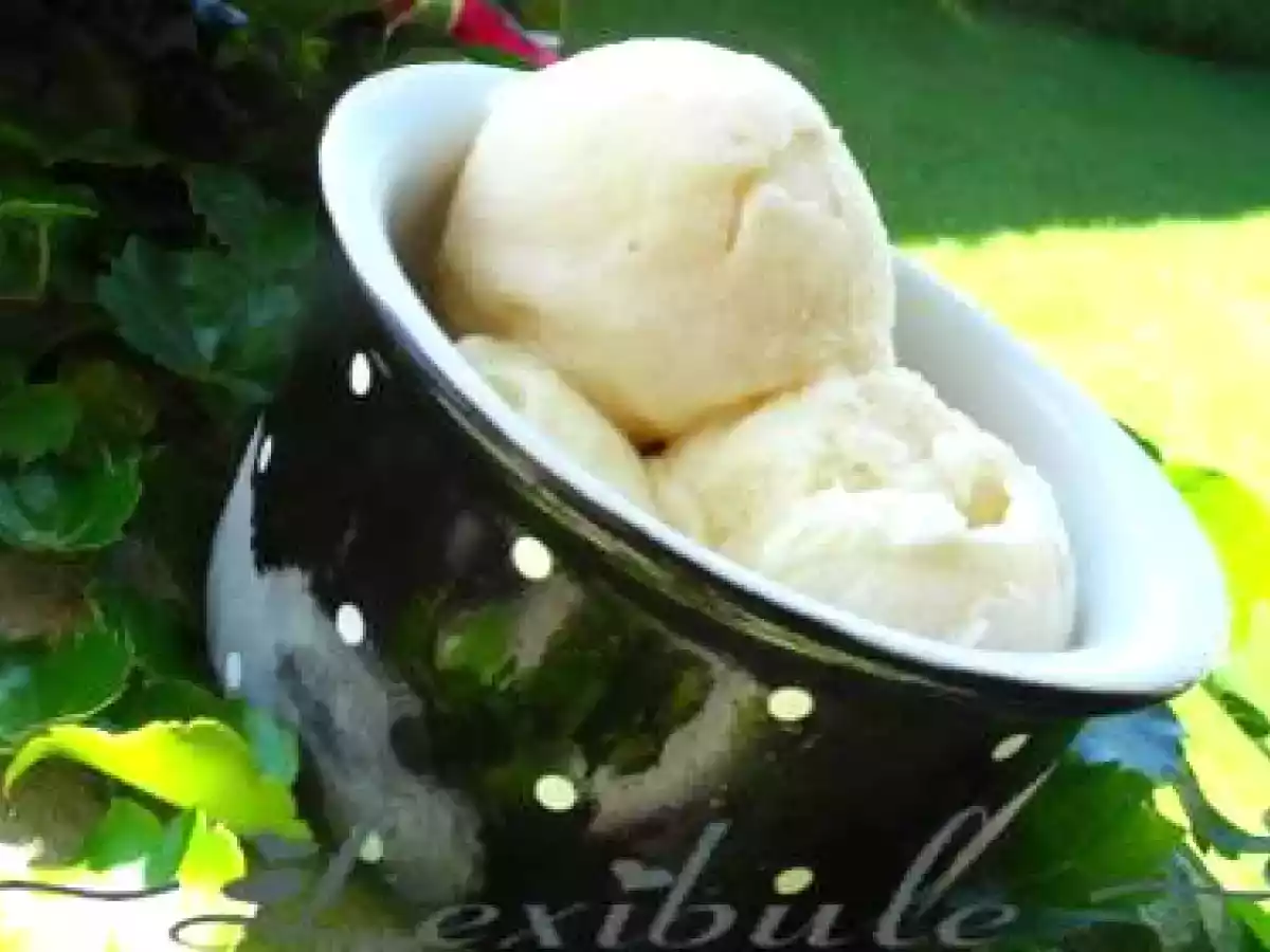 Crème glacée à la guimauve grillée