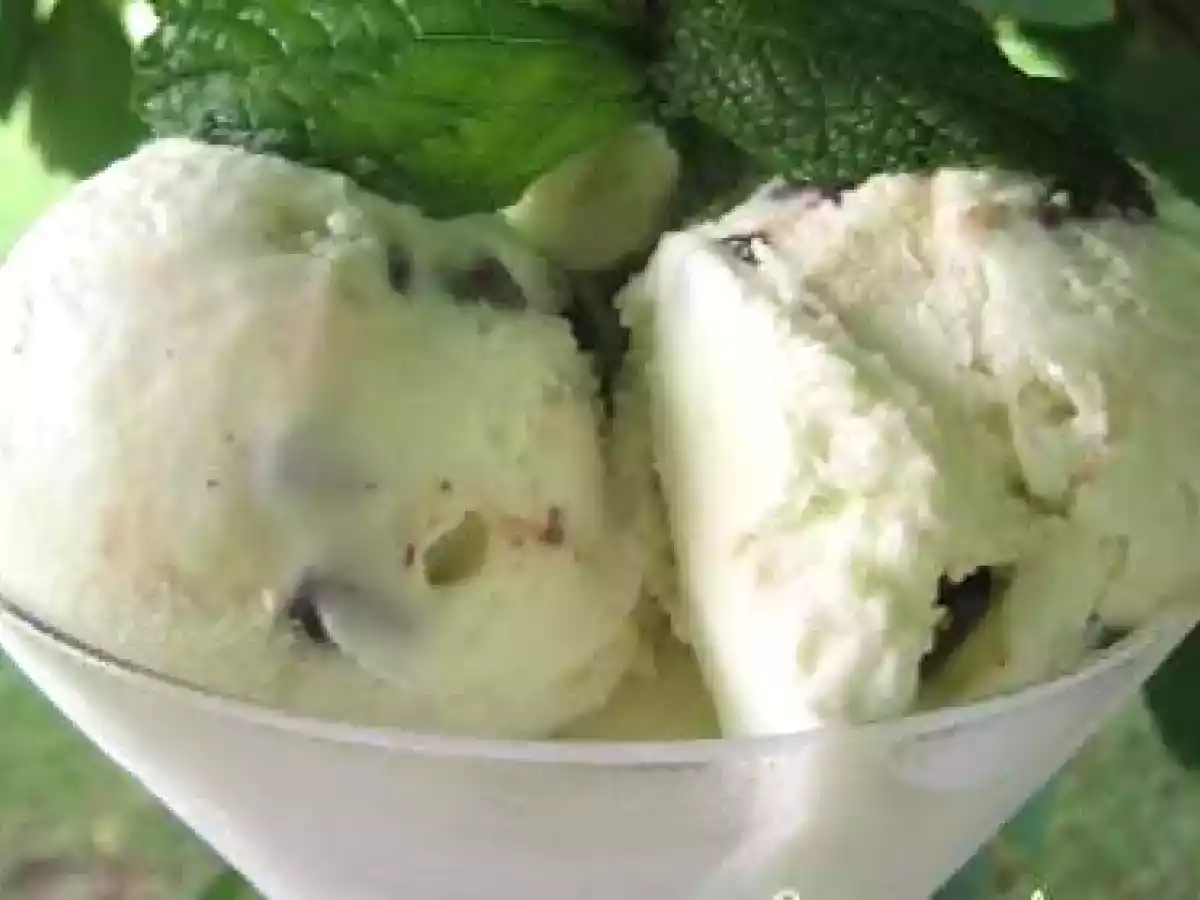 Crème glacée à la menthe et aux grains de chocolat
