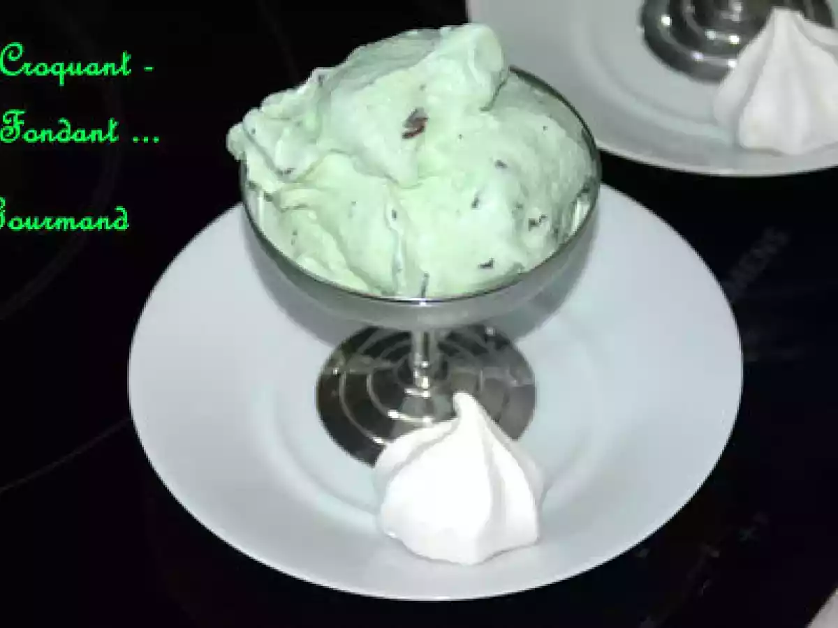 CRÈME GLACÉE à la MENTHE et aux PÉPITES de CHOCOLAT