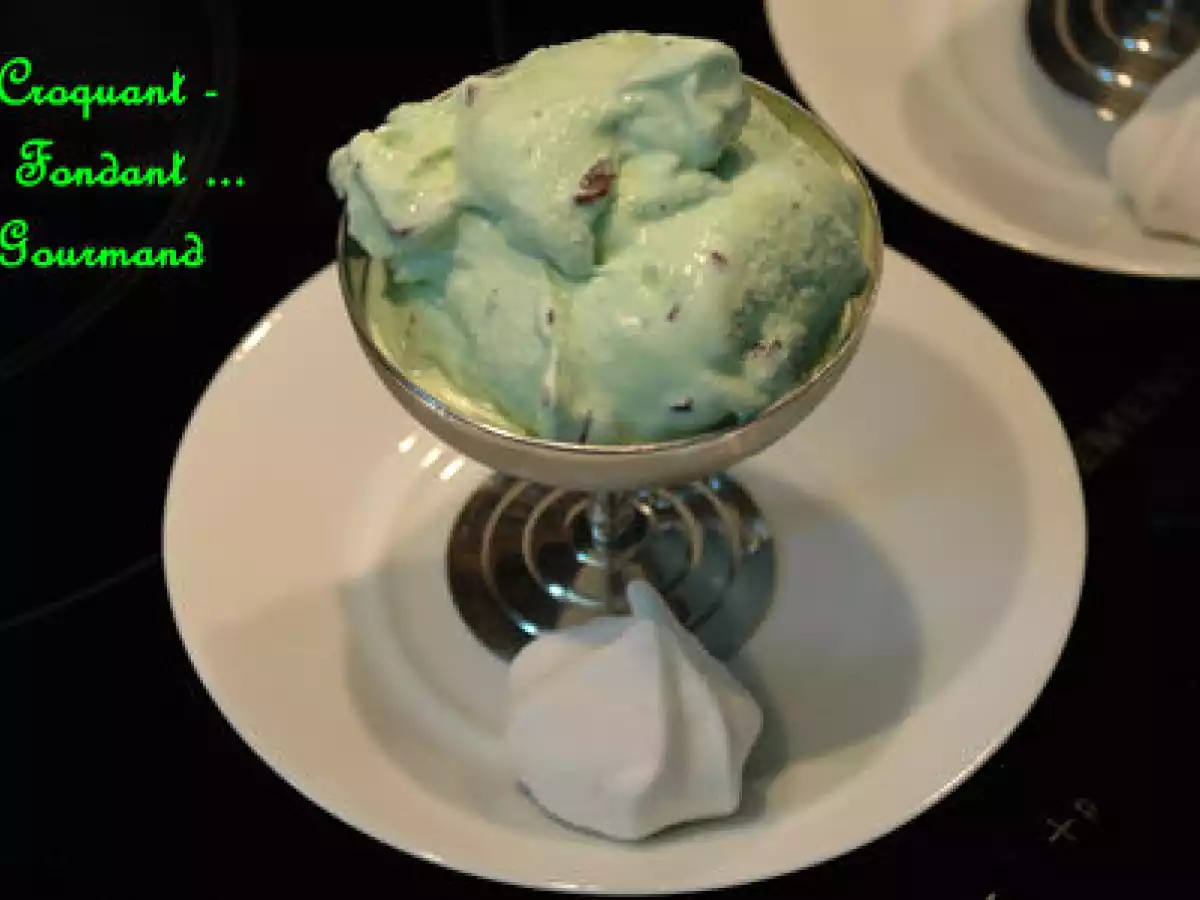 CRÈME GLACÉE à la MENTHE et aux PÉPITES de CHOCOLAT - photo 3