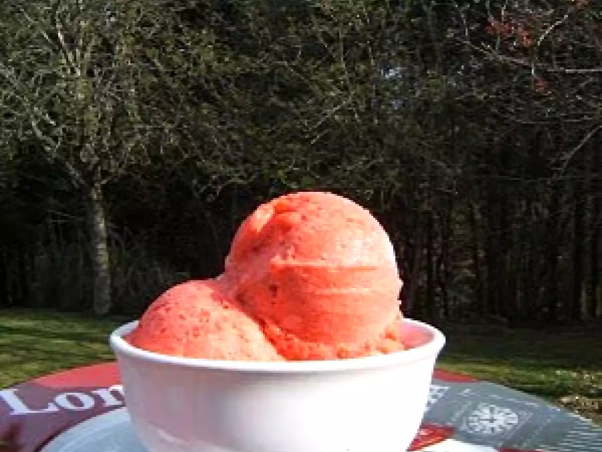Crème glacée aux fraises sans oeufs ni crème ni sorbetière
