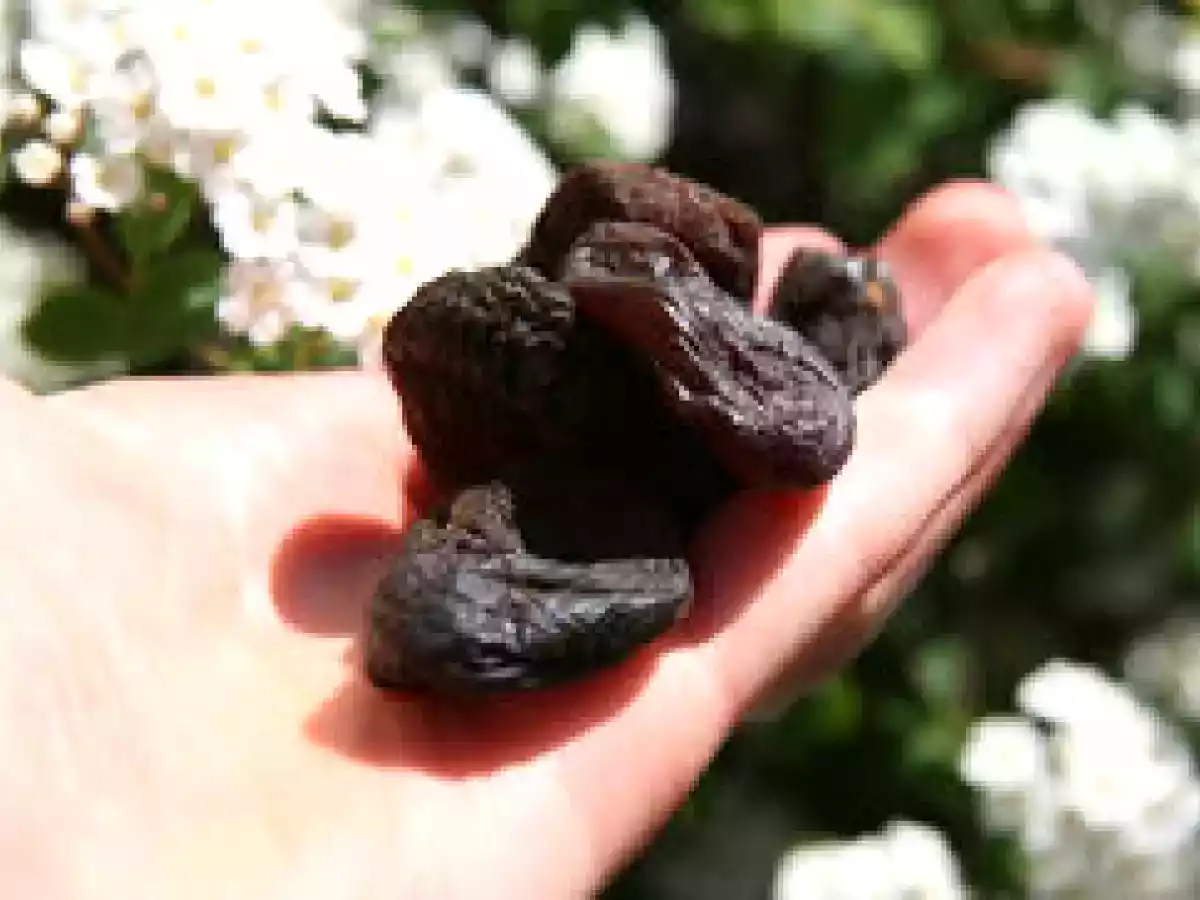 Crème patissière au lait de riz et farine de chataigne - Variations autour de l'abricot - photo 2