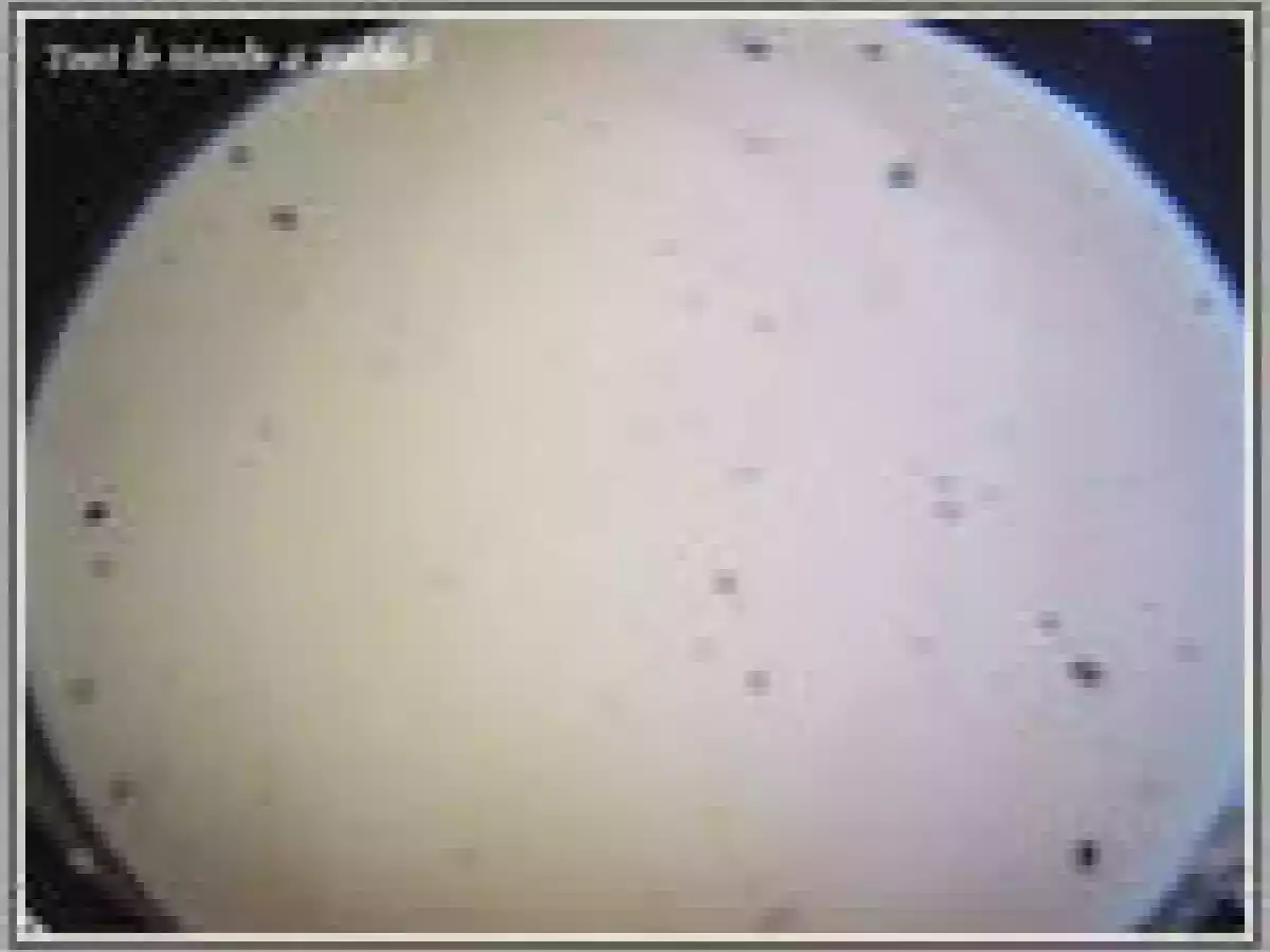 Crème renversée à la pistache et au caramel - photo 12