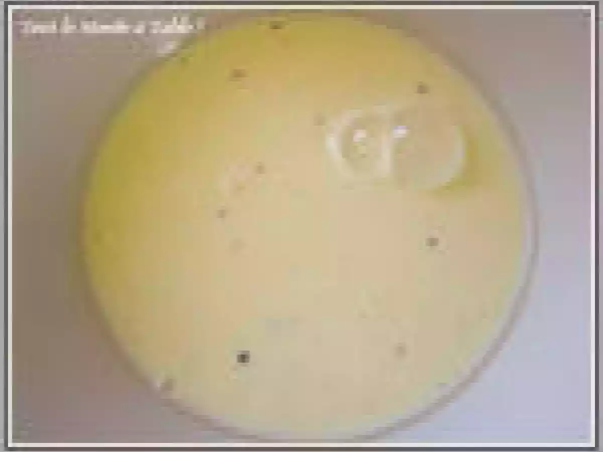 Crème renversée à la pistache et au caramel - photo 15