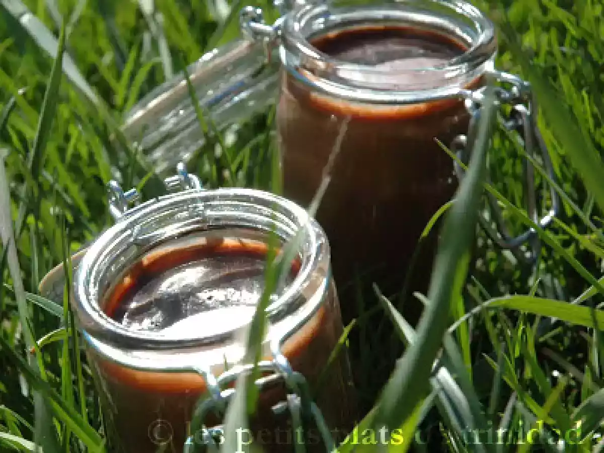 Crèmes au chocolat sans oeufs de mon enfance