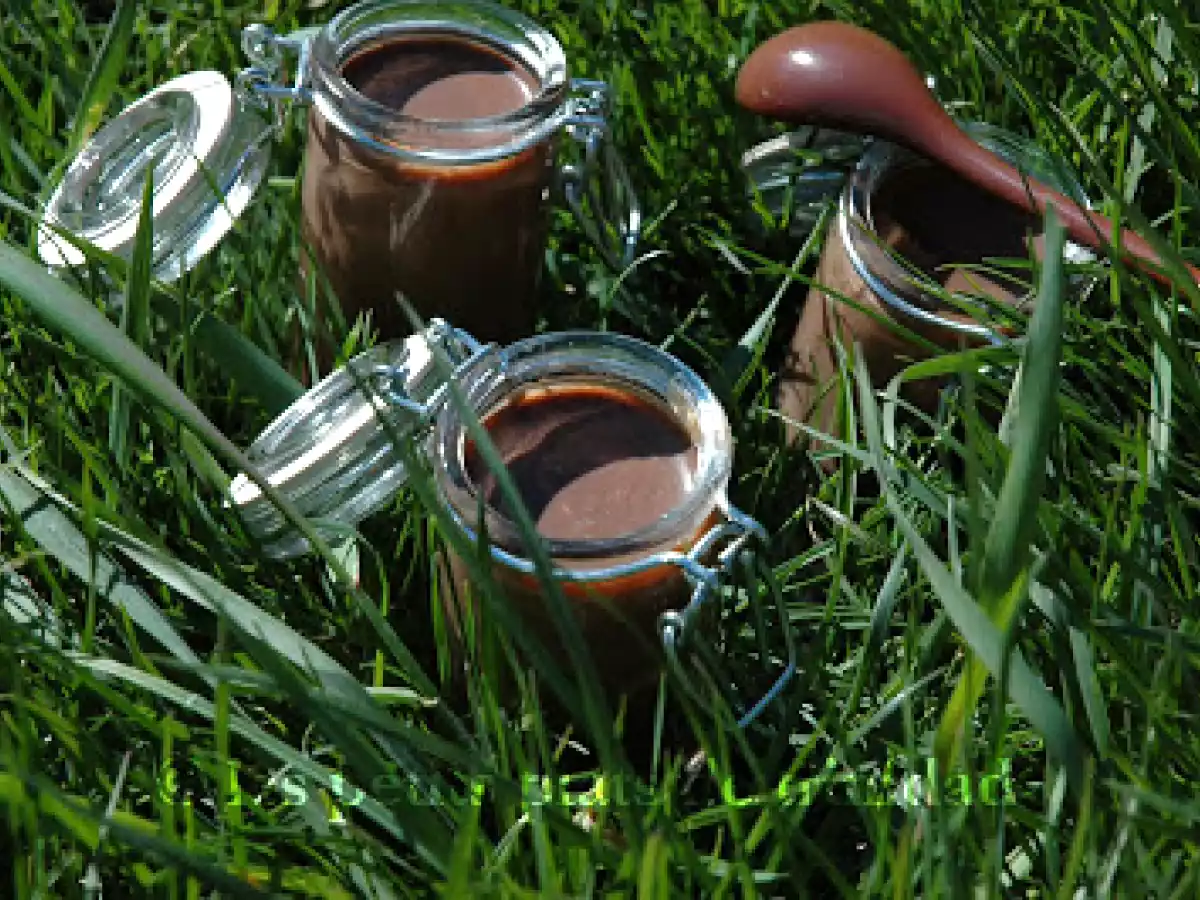 Crèmes au chocolat sans oeufs de mon enfance - photo 2