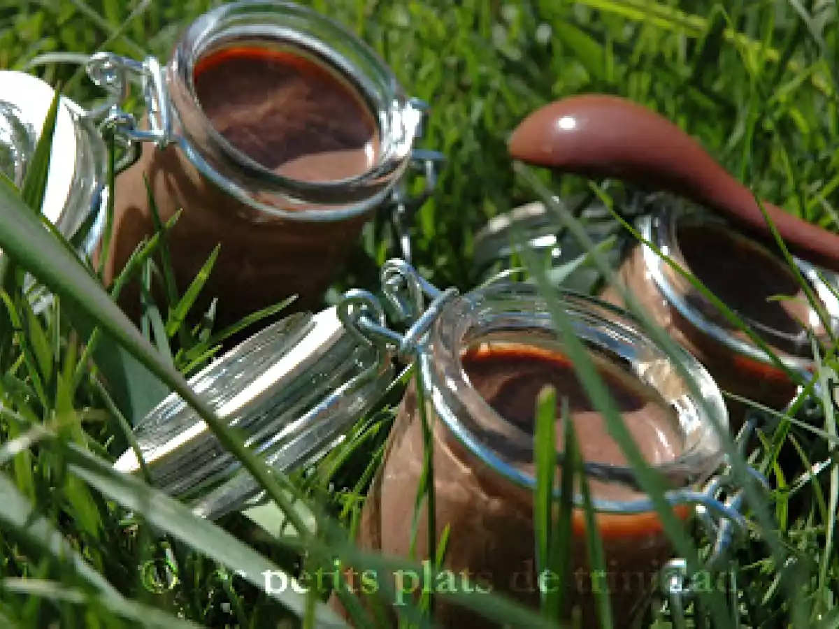 Crèmes au chocolat sans oeufs de mon enfance - photo 3