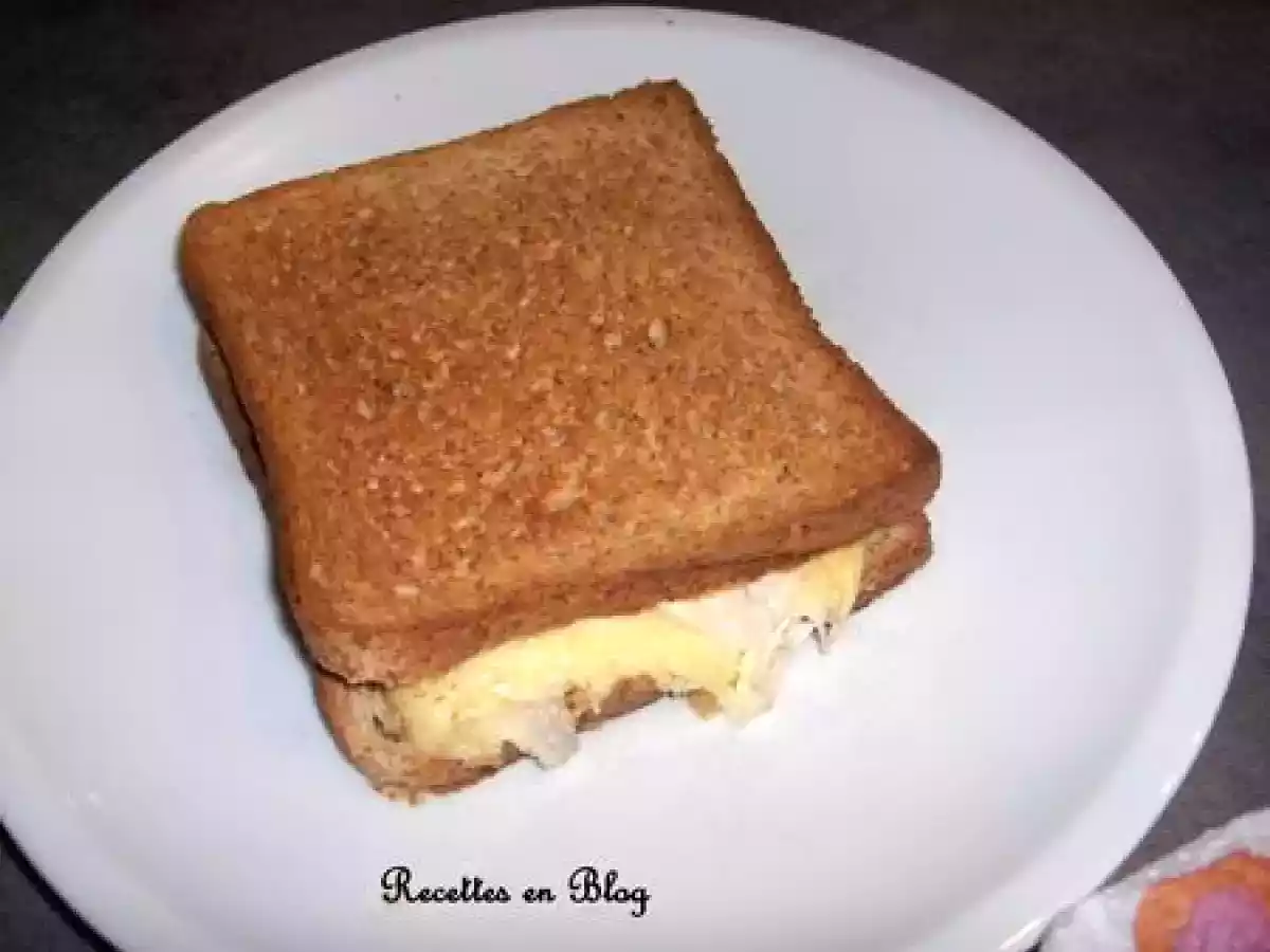 CROQUE MONSIEUR SAUMON MOZZARELLA