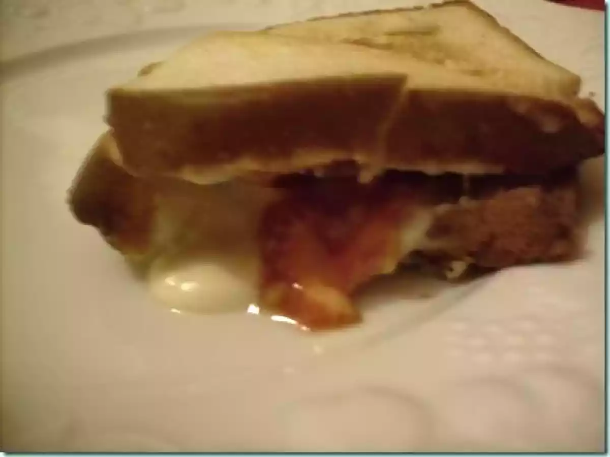 Croques Monsieur à l'italienne : mozarella - jambon sec - photo 2