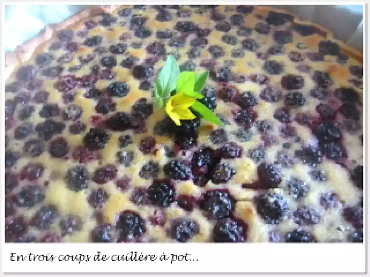 Cueillette de Mûres I: Tarte amandine aux Mûres Sauvages