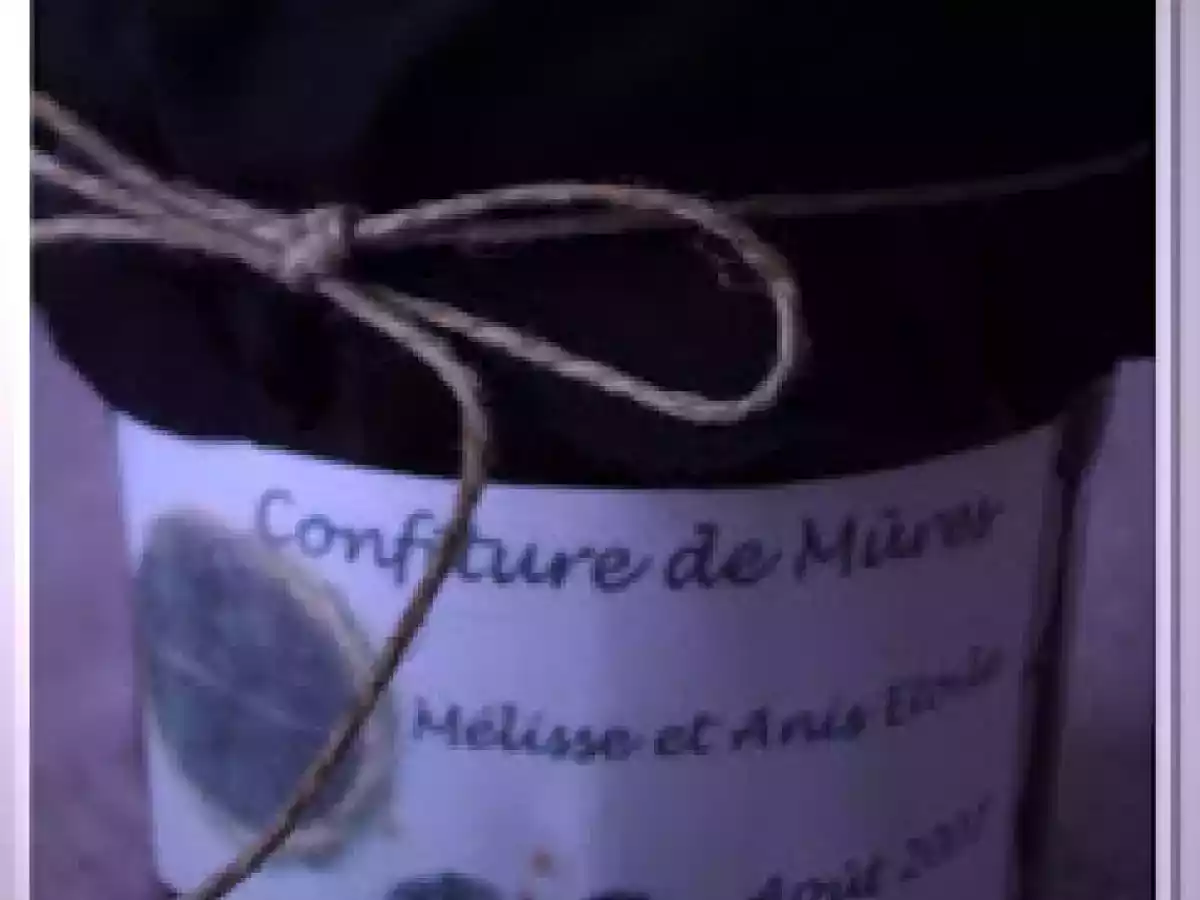 Cueillette de Mûres II: Confiture de Mûres à la Mélisse et l'Anis Etoilé
