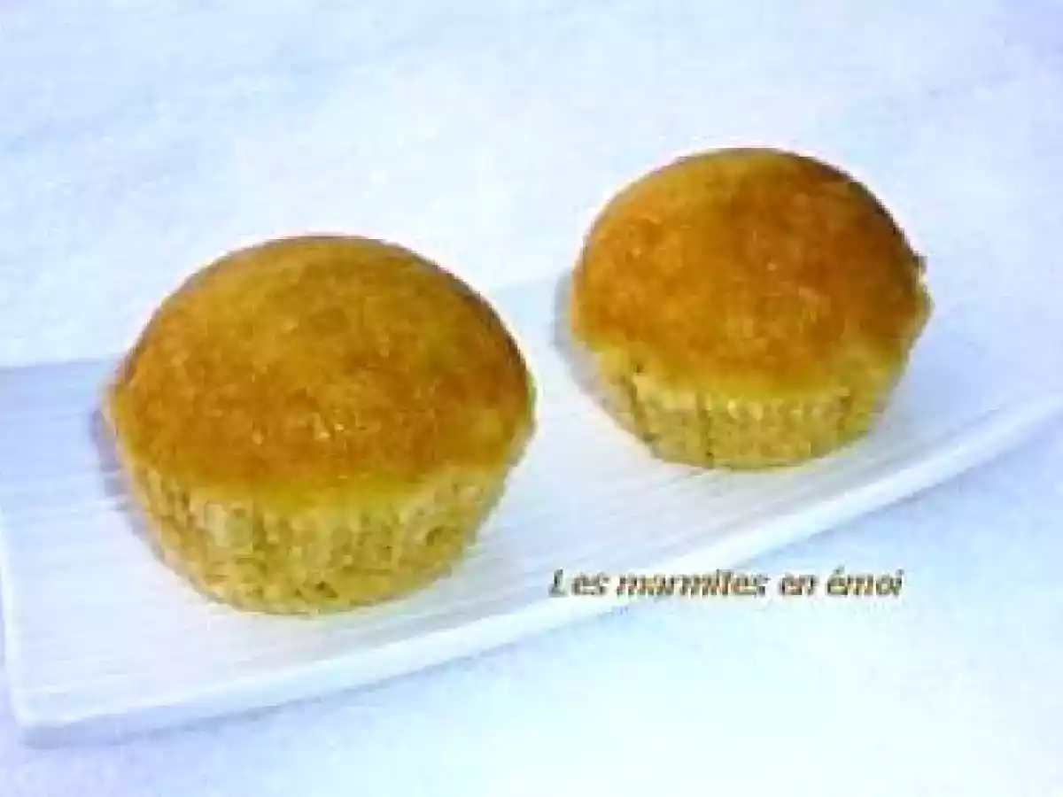 CUP CAKE A LA VAPEUR DES MARMITES EN EMOI - photo 2