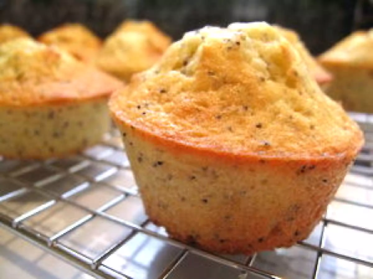 Cupcakes citron-pavot et leur super glaçage citron qui en jette ! - photo 2