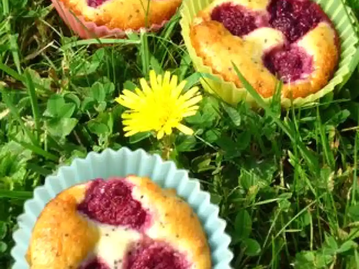 Cupcakes ricotta framboise pavot...légers!