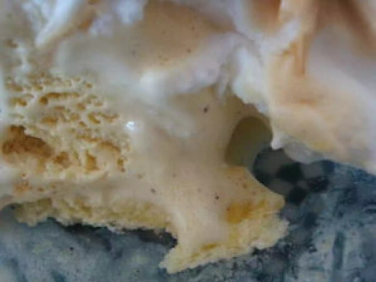 De la glace au four... ou l'Alaska vanille/marron