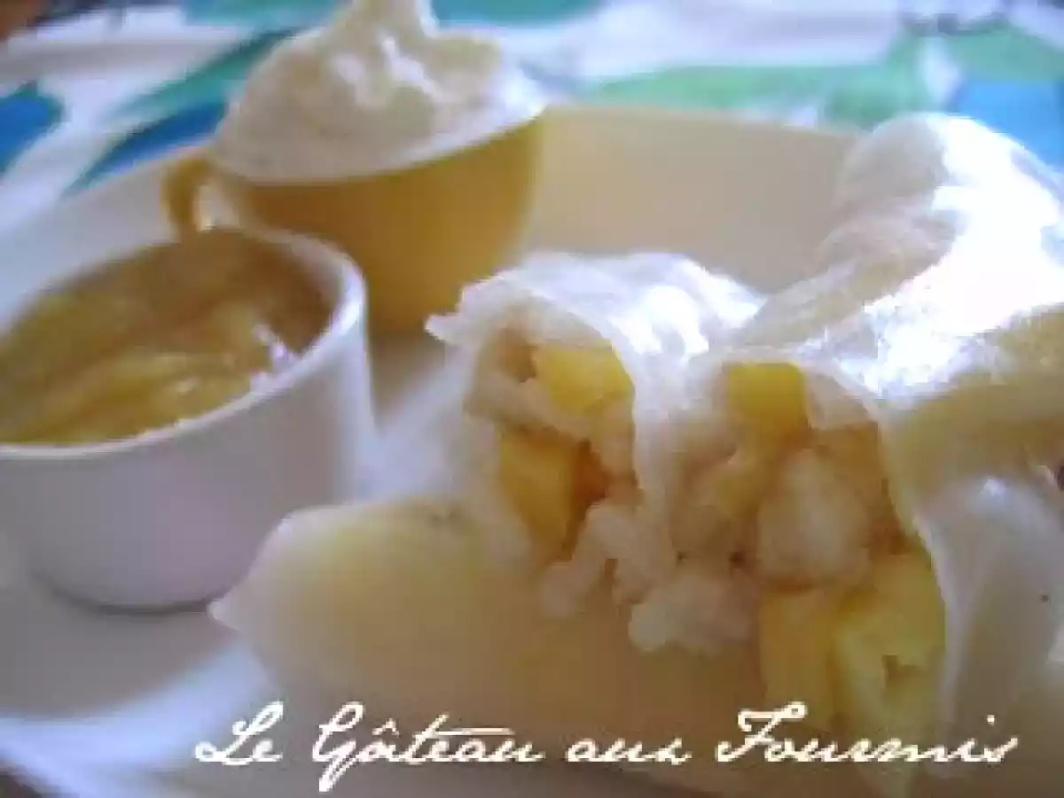 De Petits Rouleaux de Printemps Sucrés aux Fruits Exotiques